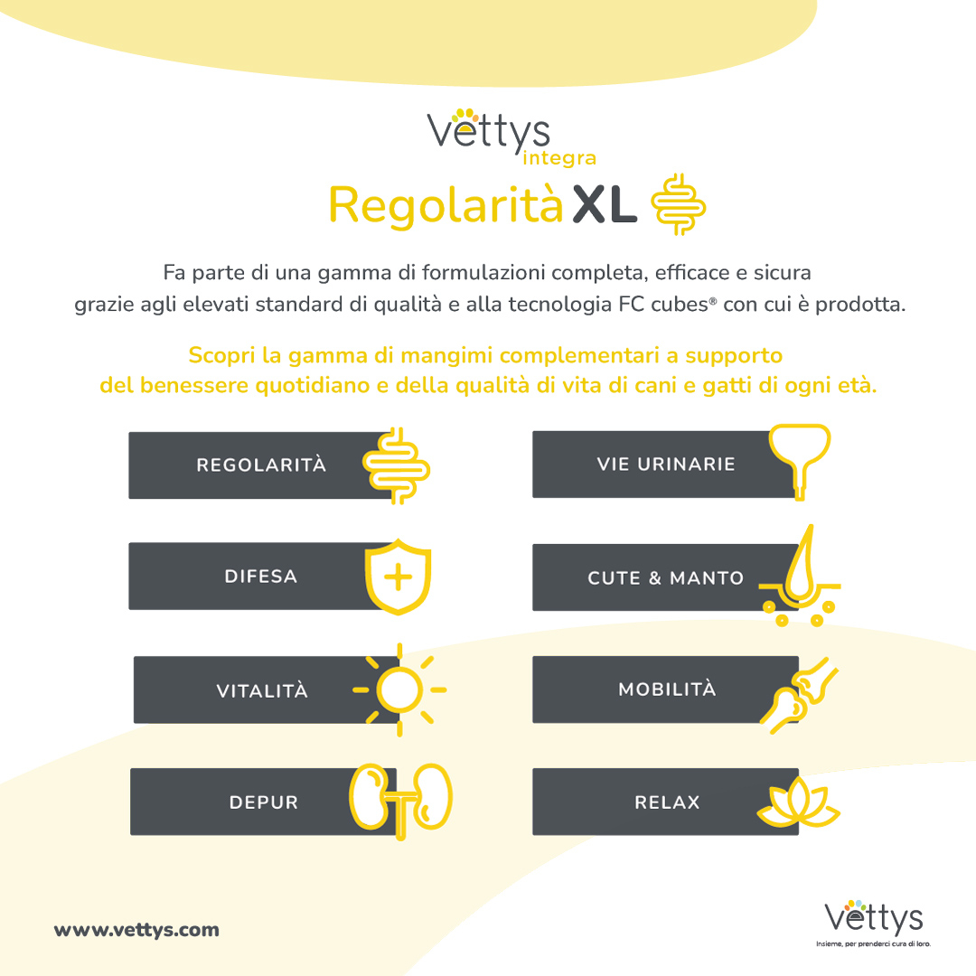VETTYS Integra Regolar.XL Cane VETTYS Integra Regolar.XL Cane