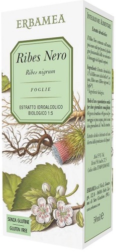 RIBES NERO 50ml EBM