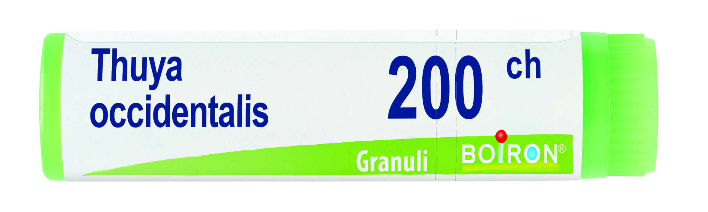Boiron Thuya Occidentalis 200CH Globuli Tubo Boiron Thuya Occidentalis 200CH Globuli Tubo