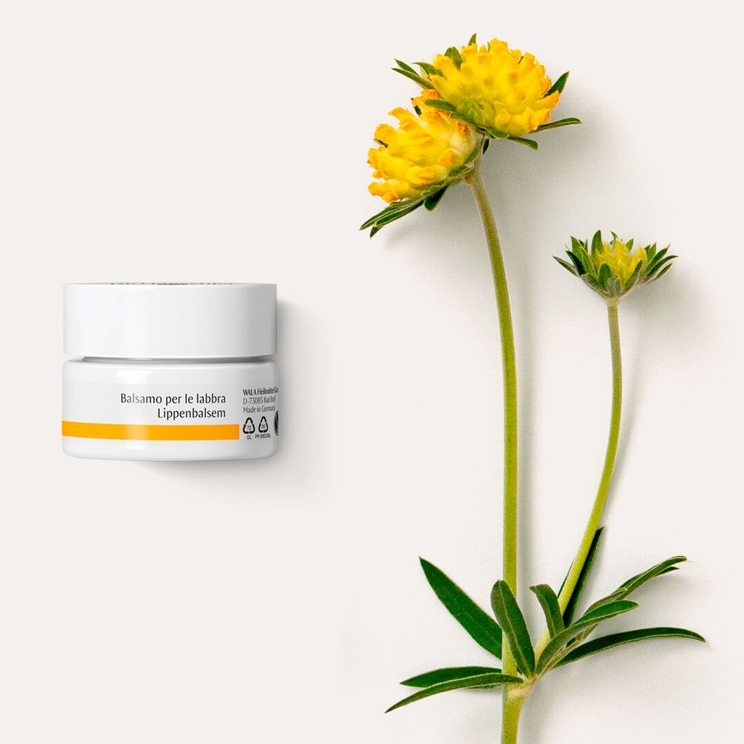 Dr. Hauschka - Balsamo Labbra 4,5 ml