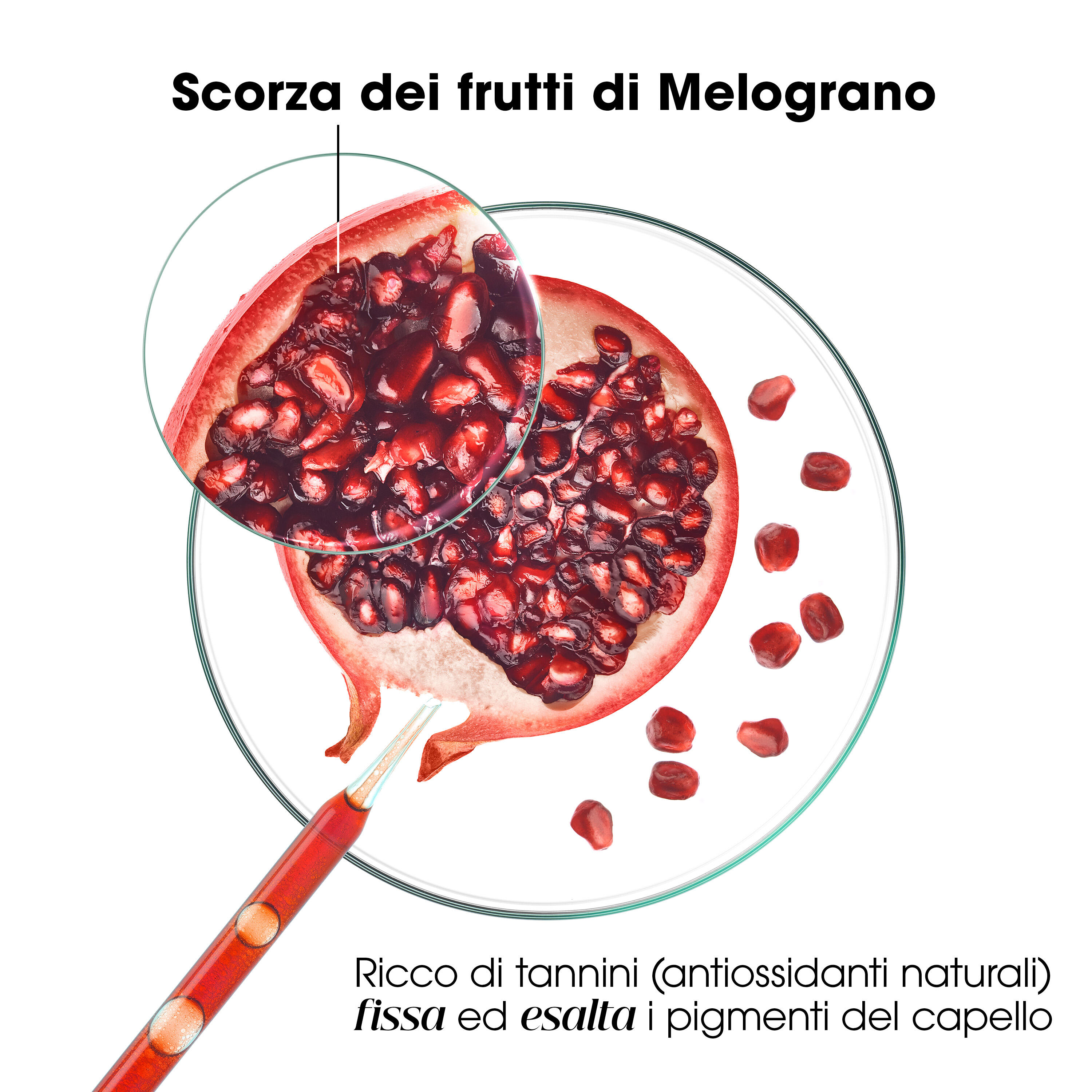 Klorane - Shampoo Al Melograno Per Capelli Colorati 200 ml